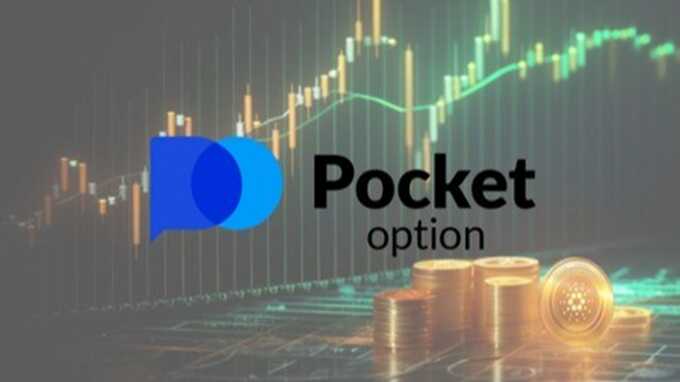 Everything You Need to Know About Pocket Option Platform Everything You Need to Know About Pocket Option Platform