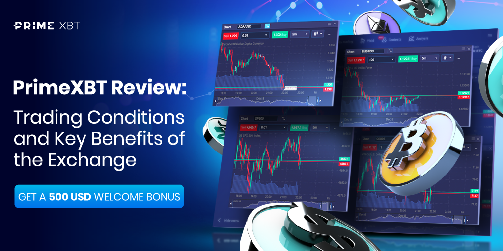 Exploring the Exciting World of PrimexBT Options